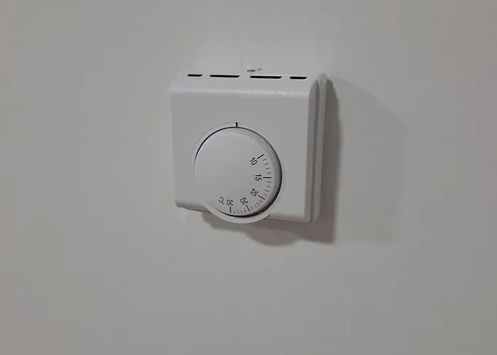 Estilo Americano * 폰테베드라